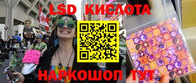 гидропоника Будённовск