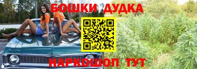 гидропоника Будённовск